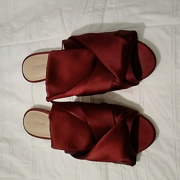 Charles David Slides/Mules - Picture 1 of 4